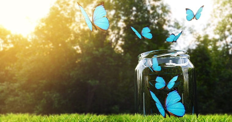 Multiple butterflies flying out of a jar, picturing the types of reviews that can be used on websites.