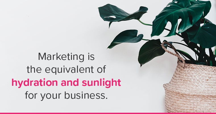 Help your business thrive. Marketing is the equivalent of hydration and sunlight for your business.