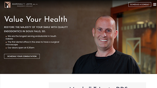 Preview image of Marshall T. Lavin DDS' new responsive endondontics website.